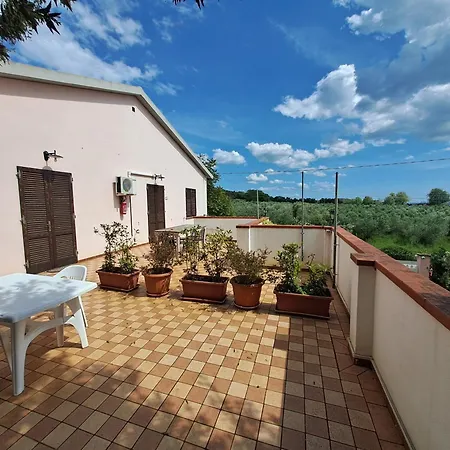 Il Masseto Holiday home *