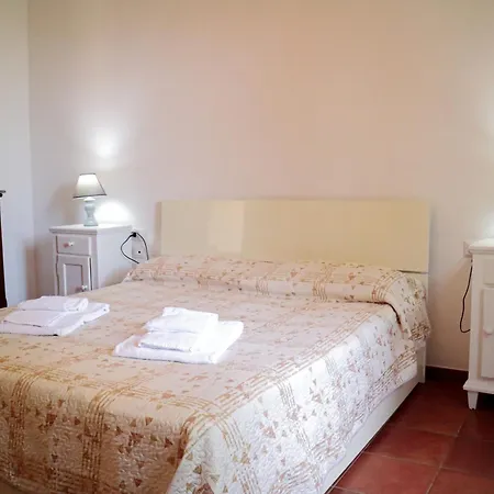 Il Masseto Holiday home